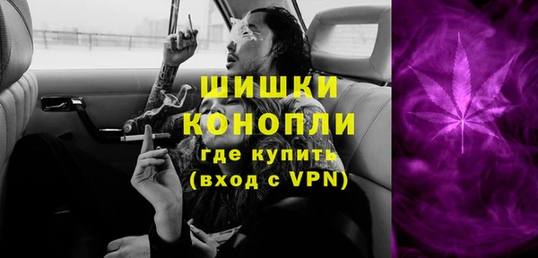 дмт Алзамай