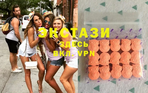стаф Медногорск