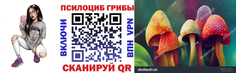 Галлюциногенные грибы мухоморы  где купить наркоту  Приволжский 